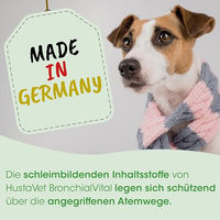 Produktbild von cdVet BronchialVital flüssiges Ergänzungsfuttermittel zur Unterstützung der Atemwege und Immunabwehr für Hunde und Katzen 500 ml - 500 ml