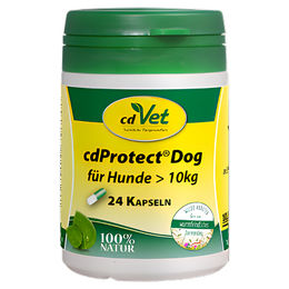 cdVet cdProtect Kapseln für Hunde zur Unterstützung der Magen-Darm-Gesundheit für mittlere Rassen über 10 kg – Bild 1 von 3