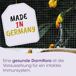 cdVet DarmRein Ergänzungsfuttermittel für Ziervögel und Exoten ohne tierisches Protein 100 ml - 100 ml – Bild 1 von 7