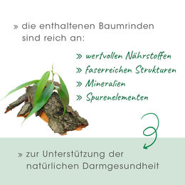 cdVet DarmRein Pro Pulver zur Unterstützung der Verdauung für Hunde und Katzen 40 g - 40 g – Bild 1 von 4