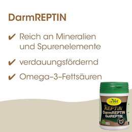 cdVet DarmREPTIN Nahrungsergänzung für Reptilien mit Bierhefe und Baumrinde 40g - 40 g – Bild 1 von 2