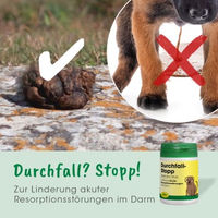 Produktbild von cdVet DurchfallStopp Verdauungshilfe Kapseln für Hunde und Katzen zur Magen-Darm-Unterstützung 91 g