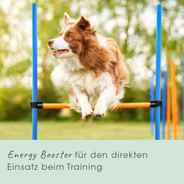 cdVet EnergyUp Ergänzungsfuttermittel für Hunde mit Elektrolyten als Pulver 450g - 450 g – Bild 1 von 3