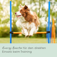 Produktbild von cdVet EnergyUp Ergänzungsfuttermittel für Hunde mit Elektrolyten als Pulver 450g - 450 g