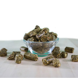 cdVet EquiGreen Bio-KräuterLeckerlis für Pferde 2,6 kg - 2,6 kg – Bild 1 von 2