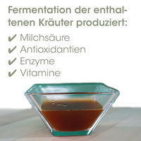 Produktbild von cdVet EquiGreen DarmAktiv Ergänzungsfutter für Pferde 5 Liter - 5 l