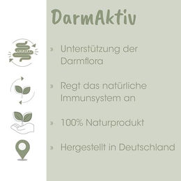 cdVet EquiGreen DarmAktiv Pferd Probiotikum zur Unterstützung von Verdauung und Immunsystem 2,5 Liter - 2,5 l – Bild 1 von 7