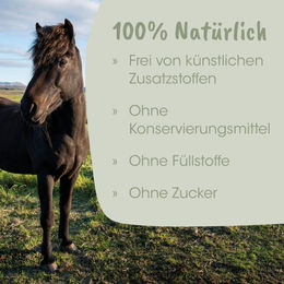 cdVet EquiGreen DarmRein Pferd Ergänzungsfutter zur Unterstützung der Verdauung 250 ml - 250 ml – Bild 1 von 6
