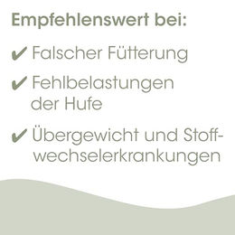 cdVet EquiGreen Huf-Tonikum Ergänzungsfutter für Pferde zur Unterstützung des Hufstoffwechsels 250ml - 250 ml – Bild 1 von 4