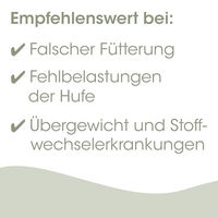 Produktbild von cdVet EquiGreen Huf-Tonikum Ergänzungsfutter für Pferde zur Unterstützung des Hufstoffwechsels 250ml - 250 ml