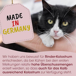cdVet feliTatz ImmunKraft Pulver zur Immunstärkung für Katzen 30g - 30 g – Bild 1 von 7