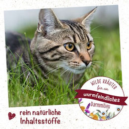 cdVet feliTATZ WK-Mix Pulver für Katzen zur Unterstützung der Magen-Darm-Funktion 12 g - 25 g – Bild 1 von 2