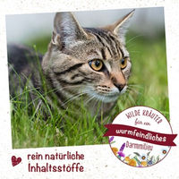 Produktbild von cdVet feliTATZ WK-Mix Pulver für Katzen zur Unterstützung der Magen-Darm-Funktion 12 g - 25 g