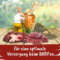 Produktbild von cdVet Fit-BARF Safe-Complete Nahrungsergänzung für Hunde 700 g - 700 g