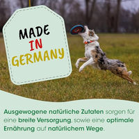Produktbild von cdVet HerzAgil Nahrungsergänzung Pulver für Hunde und Katzen 250 g - 250 g