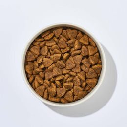 Produktbild von cdVet Hundefutter Ente mit Kartoffel getreidefrei für adulte Hunde 12 kg