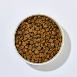 Produktbild von cdVet Hundefutter Senior Seefisch & Kartoffel mit Biotin sowie Omega-3 und -6 für Haut & Fell 1 kg - 1 kg
