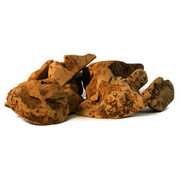 cdVet Kauwurzel Naturkauartikel für Hunde Größe S hypoallergen – Bild 1 von 3