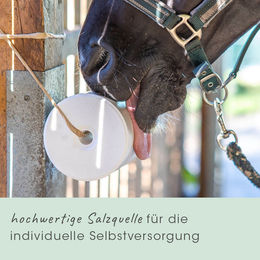 cdVet Leckstein Meersalz Vitalis Mineralstein mit Elektrolyten 3 kg - 3 kg – Bild 1 von 5