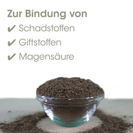 cdVet Magenschutz Pulver für Pferde 1,5 kg Ergänzungsfutter zur Unterstützung der Magen-Darm-Verdauung - 1,5 kg – Bild 1 von 6