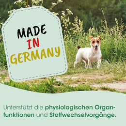 cdVet MicroMineral Nahrungsergänzung Pulver für Hunde und Katzen mit Mineralstoffen und Vitaminen 5000g - 5 kg – Bild 1 von 6