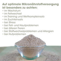 Produktbild von cdVet Mineralfutter und Nahrungsergänzung Pulver für Magen-Darm, Verdauung sowie Haut und Fell 25kg - 25 kg