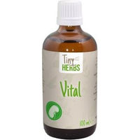 Produktbild von cdVet NagerVital Nahrungsergänzung für Kaninchen und Meerschweinchen zur Unterstützung der Leber- und Nierenfunktion 100 ml - 100 ml
