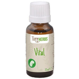cdVet NagerVital Nahrungsergänzung für Nager Kaninchen und Meerschweinchen zur Unterstützung der Leber- und Nierenfunktion 20 ml - 20 ml – Bild 1 von 5