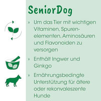 Produktbild von cdVet Senior-Dog Nahrungsergänzung Pulver für Senioren Hunde mit Vitaminen 250 g - 250 g