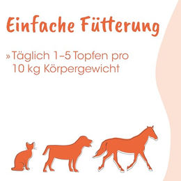 cdVet Singulares Bio Sacha Inchi Öl 50 ml Kaltgepresst Nahrungsergänzung für Hund und Katze - 50 ml – Bild 1 von 4