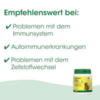 Produktbild von cdVet ZytoVet forte Ergänzungsfuttermittel zur Immunstärkung für Hunde und Katzen 55 g - 55 g