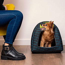 CERDÁ LIFE'S LITTLE MOMENTS Batman Katzenhöhle und Hundebett für kleine Hunde und Katzen aus Polyester, Bunt – Bild 1 von 5