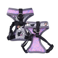 Produktbild von CERDÁ LIFE'S LITTLE MOMENTS Disney Villains Hundegeschirr XS-S Bunt