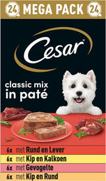 Cesar Classic Hundefutter Pastete ohne Zucker Multipack 24 x 150 g – Bild 1 von 3