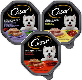 Cesar Classic Hundefutter Pastete Rind 14 x 150 g – Bild 1 von 3