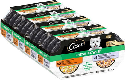 Produktbild von Cesar Fresh Bowls Hundefutter Huhn und Ente in Sauce 48 x 85 g ohne Zucker und Konservierungsstoffe - 48 x 85 g