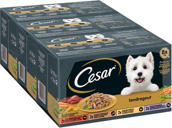 Cesar Hund Nassfutter Landragout Adult Stückchen in Sauce Rind Lamm Geflügel und Truthahn 24 x 150 g – Bild 1 von 5