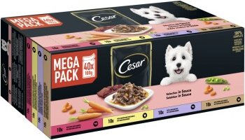 Cesar Hunde Nassfutter Selektion in Sauce Stückchen in Sauce 4 Varietäten Adult 40x100g - 40 x 100 g – Bild 1 von 13