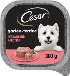 Produktbild von Cesar Hundefutter Garten-Terrass mit Kalb und Karotten Stückchen in Sauce 300 g