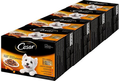Produktbild von Cesar Hundefutter Geflügel Stückchen in Sauce für Adult ohne Zucker 96x100g