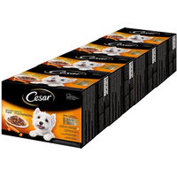 Produktbild von Cesar Hundefutter Geflügel Stückchen in Sauce für Adult ohne Zucker 96x100g