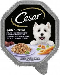 Cesar Hundefutter Lamm mit Karotten und Koriander in Gelee Megapack 24 x 150 g für Adult Hunde ohne Zucker und Farbstoffe - 14 x 150 g – Bild 1 von 3