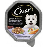 Produktbild von Cesar Hundefutter Lamm mit Karotten und Koriander in Gelee Megapack 24 x 150 g für Adult Hunde ohne Zucker und Farbstoffe - 14 x 150 g