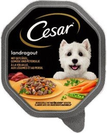 Cesar Hundefutter Landragout Geflügel und Gemüse Stückchen in Sauce 14x150 g - 14 x 150 g – Bild 1 von 3