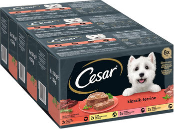 Cesar Hundefutter Pastete Klassiker Selektion für erwachsene Hunde ohne Zucker und künstliche Farbstoffe 3 x 8 x 150 g – Bild 1 von 5