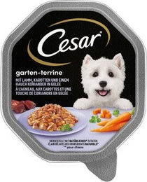 Produktbild von Cesar Hundeterrine Lamm mit Karotten und Koriander Ragout in Sauce 4x150 g - 14 x 150 g
