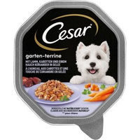 Produktbild von Cesar Hundeterrine Lamm mit Karotten und Koriander Ragout in Sauce 4x150 g - 14 x 150 g