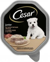 Cesar Junior Hundepaté mit Truthahn und Kalb für Welpen 14 x 150 g Schalen - 28 x 150 g – Bild 1 von 5