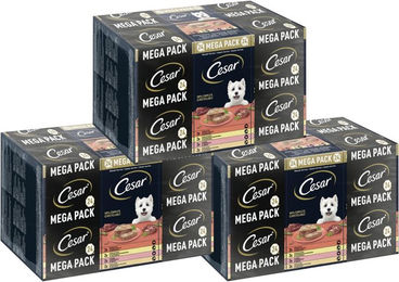 Cesar Klassik-Terrine Hund Nassfutter Multipack 3 x 24 x 150g Adult ohne Zucker und Farbstoffe – Bild 1 von 2