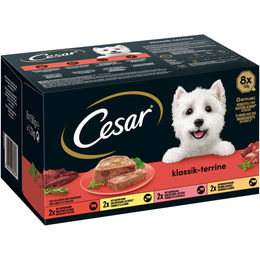 Produktbild von CESAR Klassik-Terrine Hundefutter 4 Varietäten 64x150g